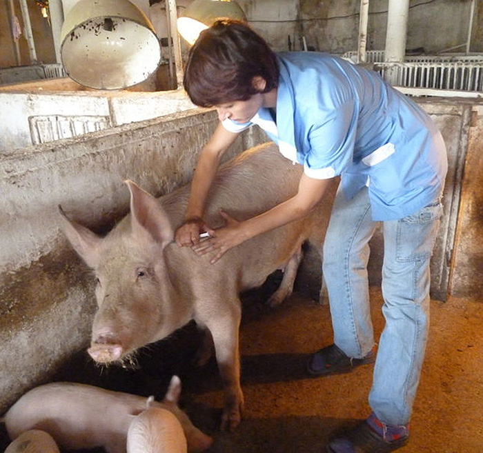 Вчасна вакцинація для тварин не менш важлива. Фото з сайту joinfo.ua